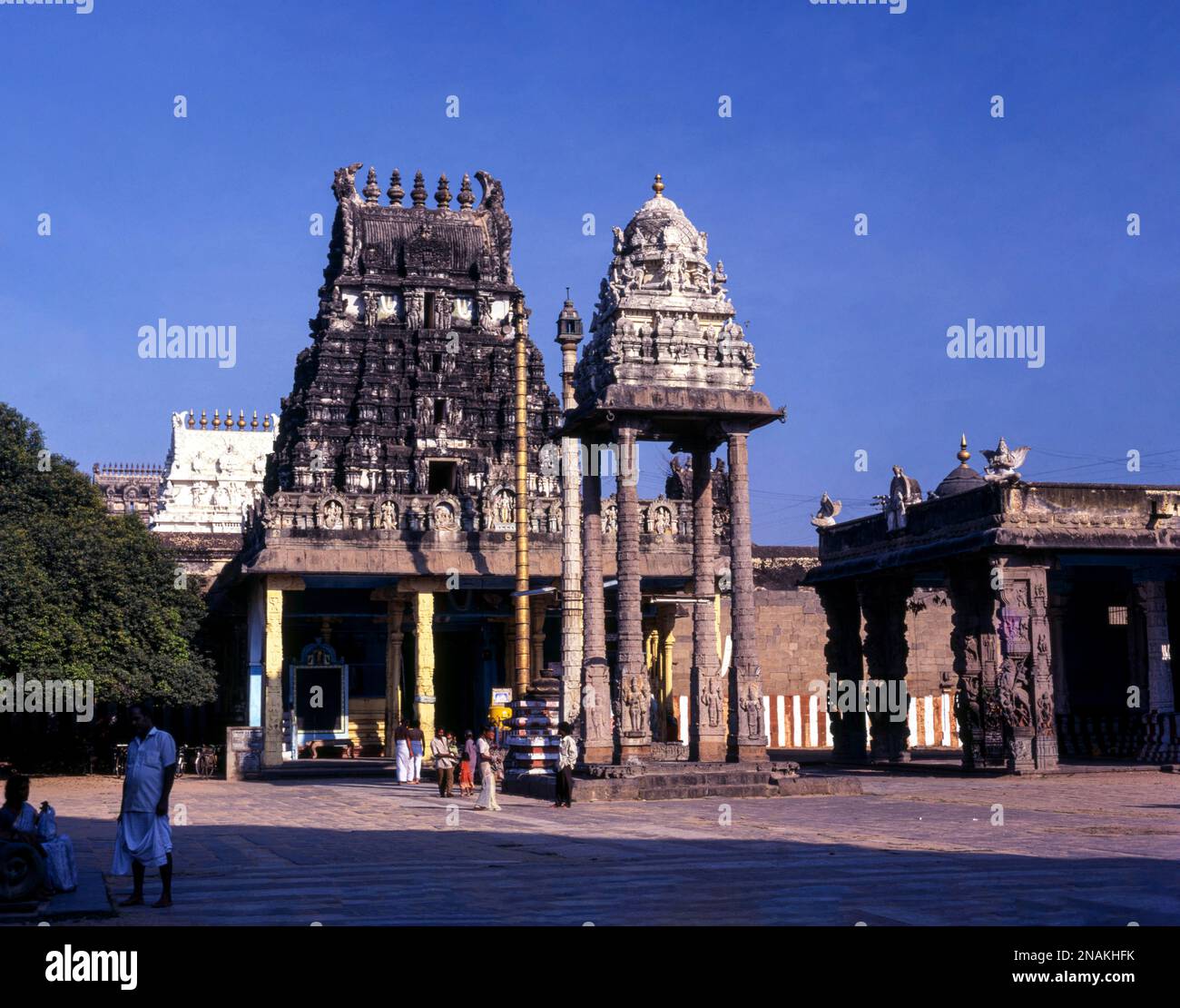 Temple de Varadharaja Perumal à Kancheepuram, Tamil Nadu, Inde, Asie Banque D'Images