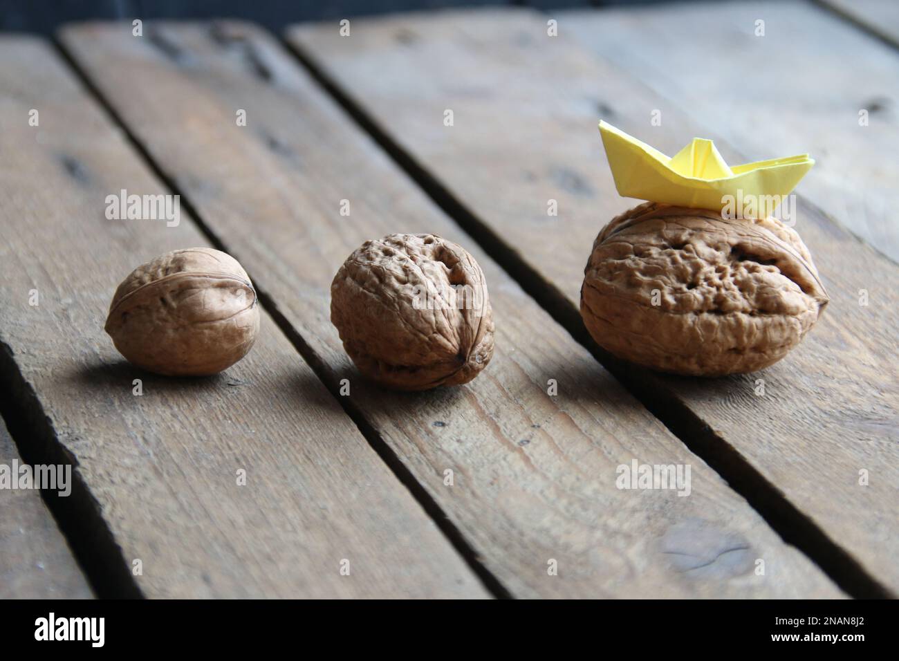 Concept créatif de leadership. Noix et un bateau en papier. Banque D'Images