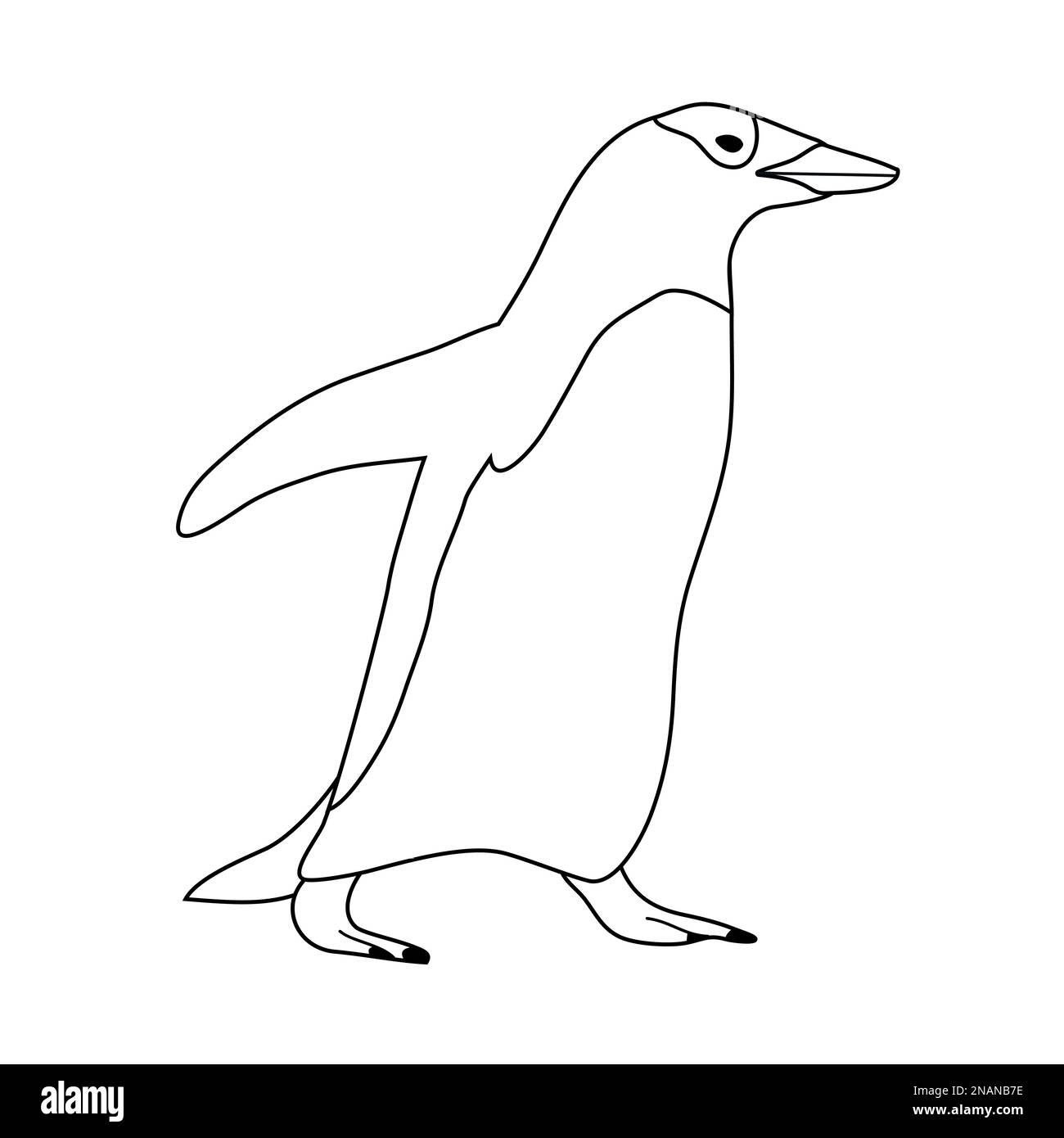 Pingouin vectoriel tracé à la main et contour plat Illustration de Vecteur Pingouin vectoriel tracé à la main et contour plat Illustration de Vecteur