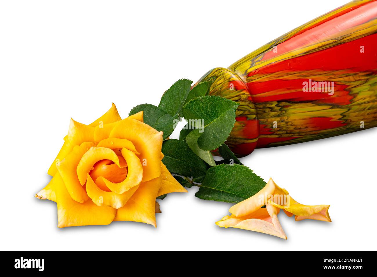Rose jaune fleur unique avec feuilles vertes et vase en céramique coloré isolé sur fond blanc avec passe-cheveux. Banque D'Images
