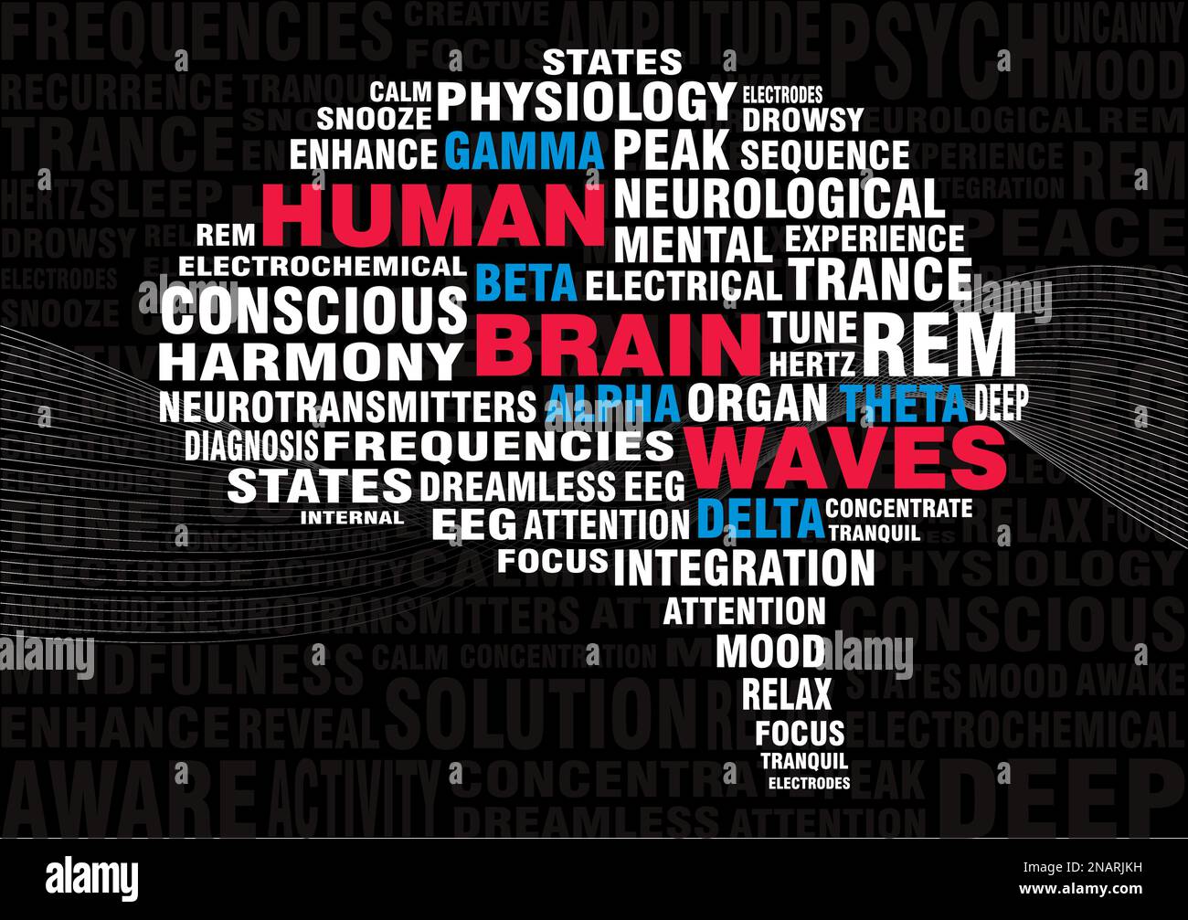 L'illustration d'un nuage de mots des fréquences d'ondes cérébrales humaines met en évidence les différents types d'activité neurale qui peuvent être mesurés à l'aide de l'EEG. Illustration de Vecteur