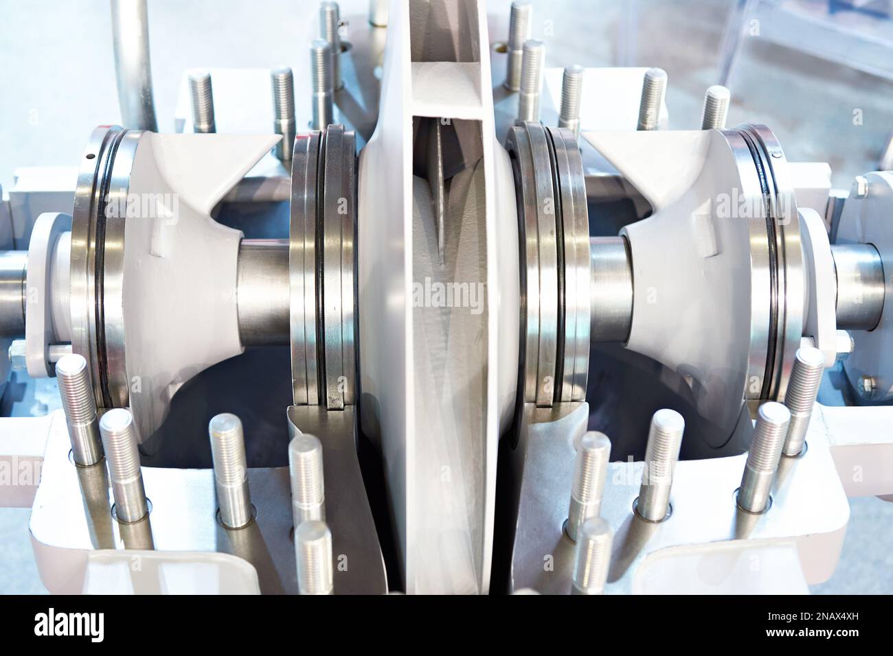 Entrée bilatérale de la pompe dans la section Banque D'Images