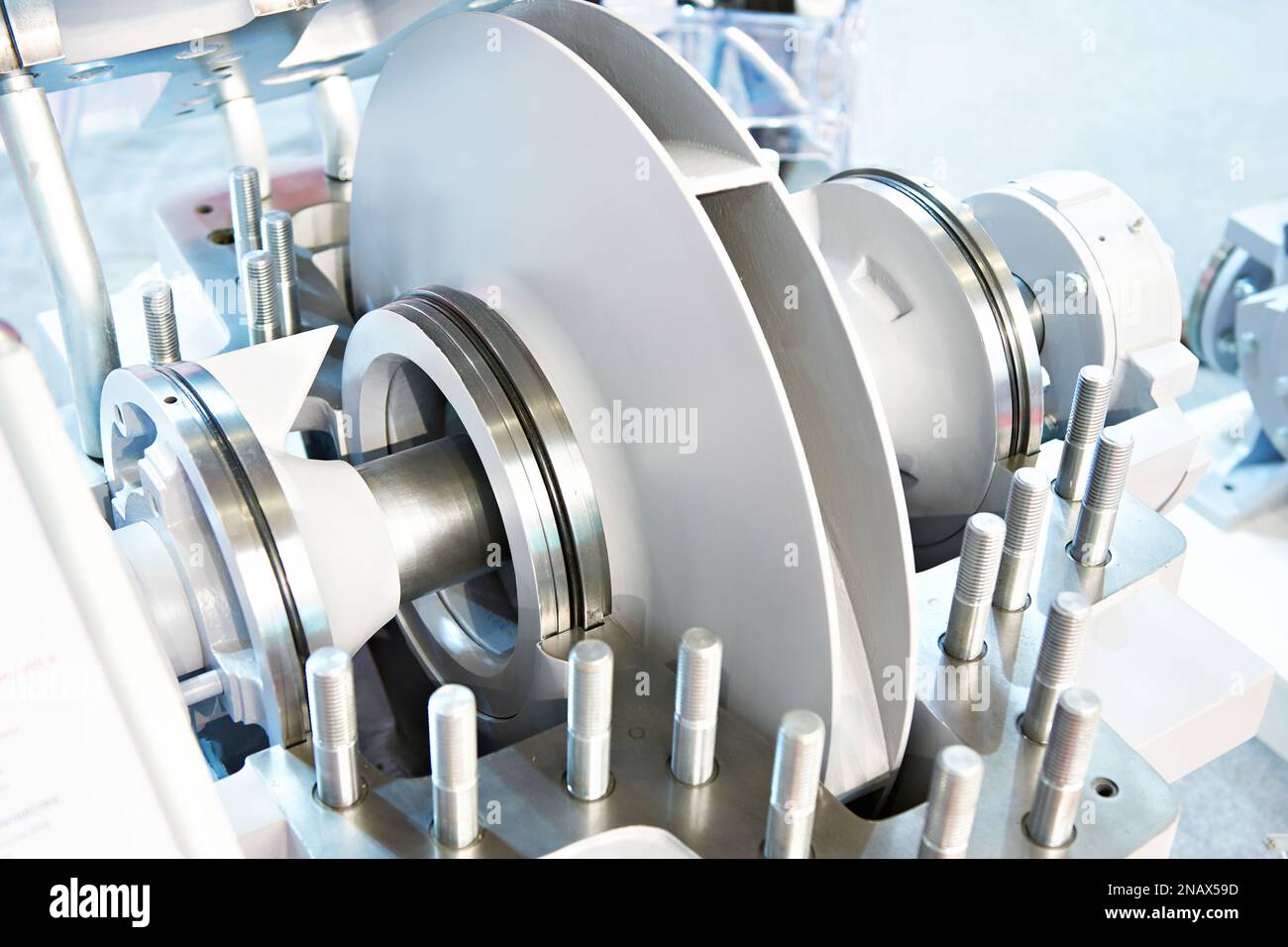 Section transversale d'entrée bilatérale de la pompe Banque D'Images