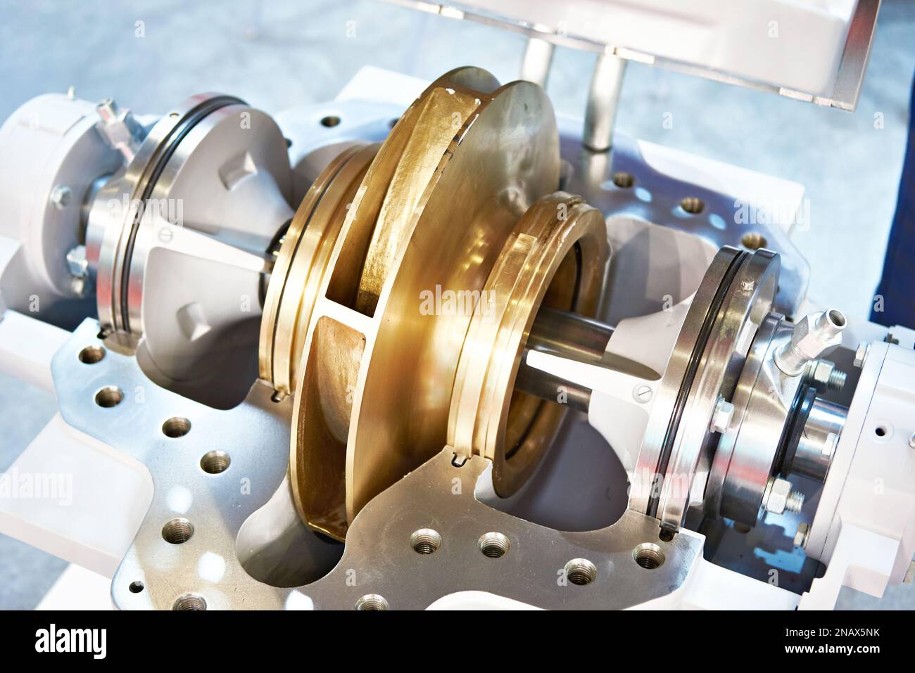 Section transversale d'entrée bilatérale de la pompe Banque D'Images