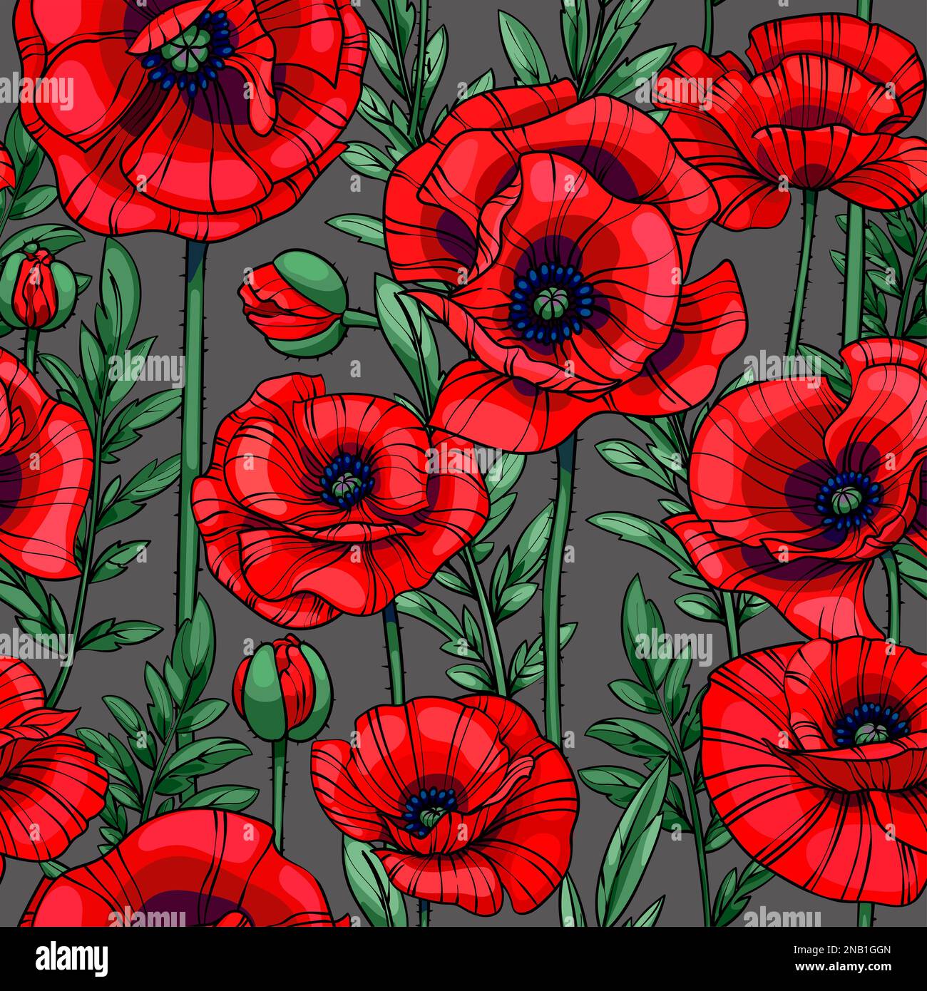 motif vectoriel sans couture pour les coquelicots rouges écartés Banque D'Images