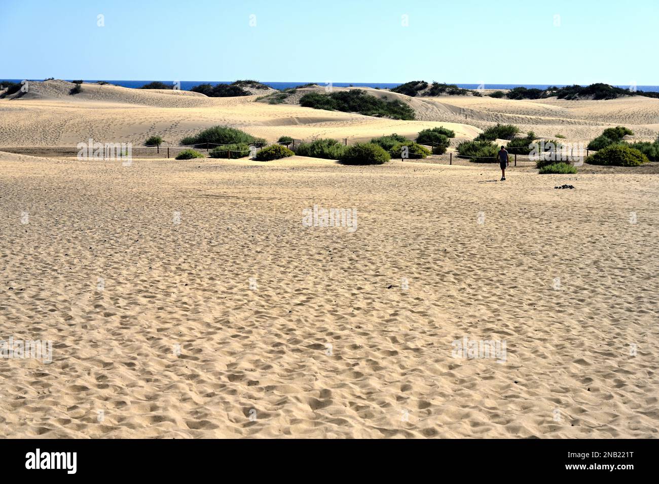 Dunes de sable et mer de Maspalomas, îles Canaries Banque D'Images