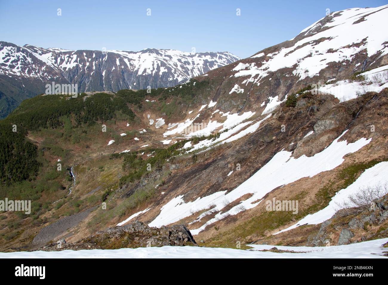 La vue printanière dans les montagnes à l'extérieur de la ville de Juneau (Alaska). Banque D'Images