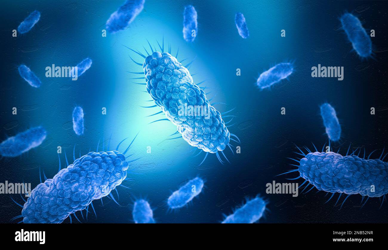 Colonie de bactéries sous microscope, illustration. Recherche en laboratoire Banque D'Images