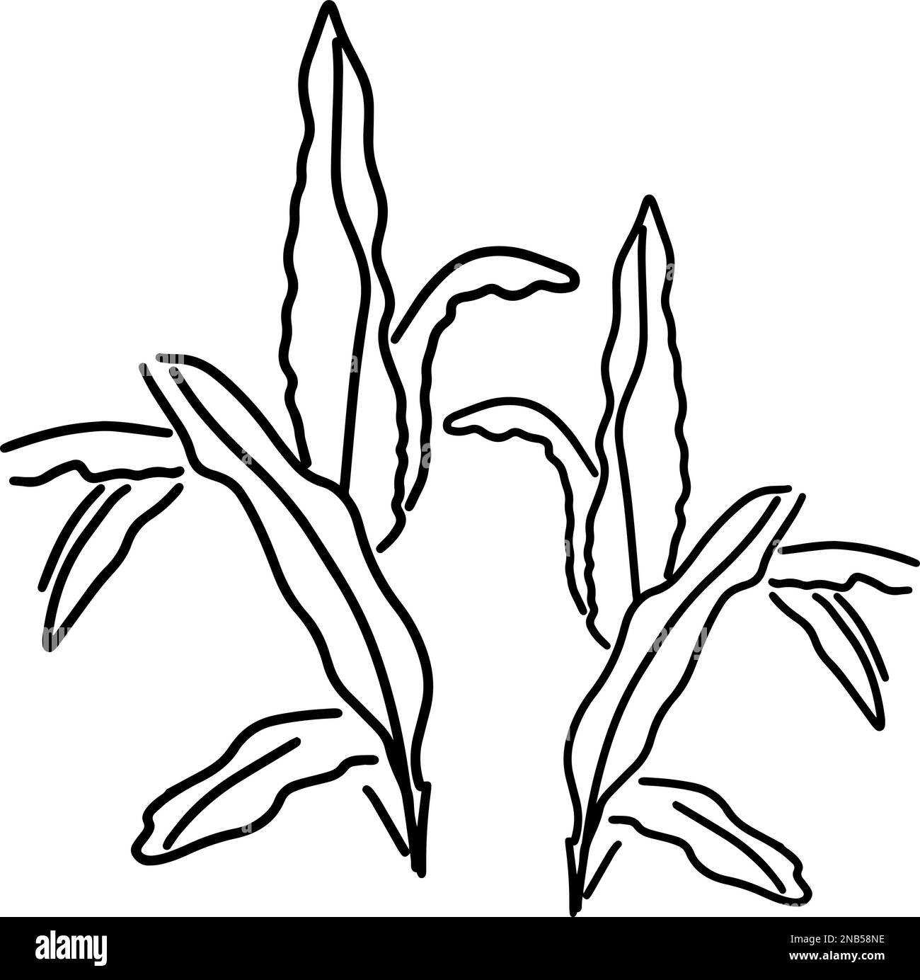 croquis de feuilles minimales de paume Illustration de Vecteur