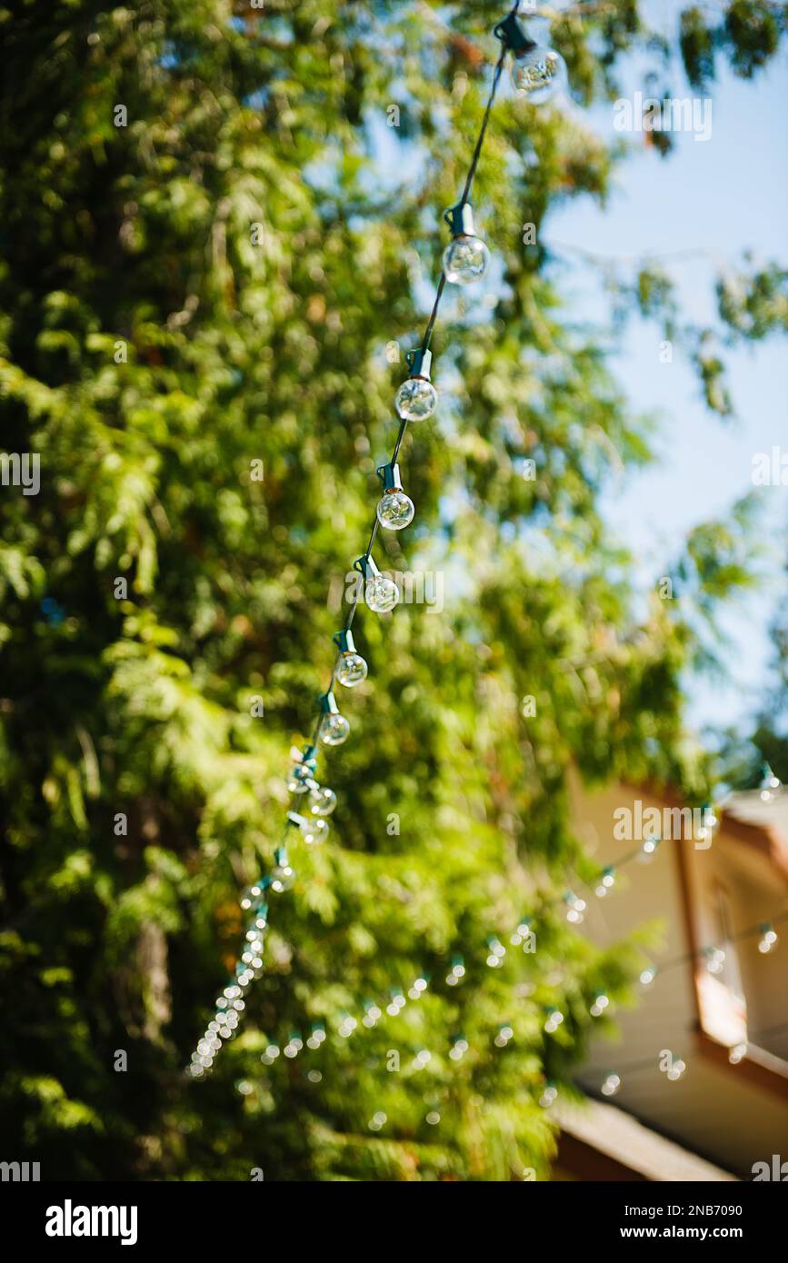 Détail d'une série de lumières suspendues dans le jardin Banque D'Images