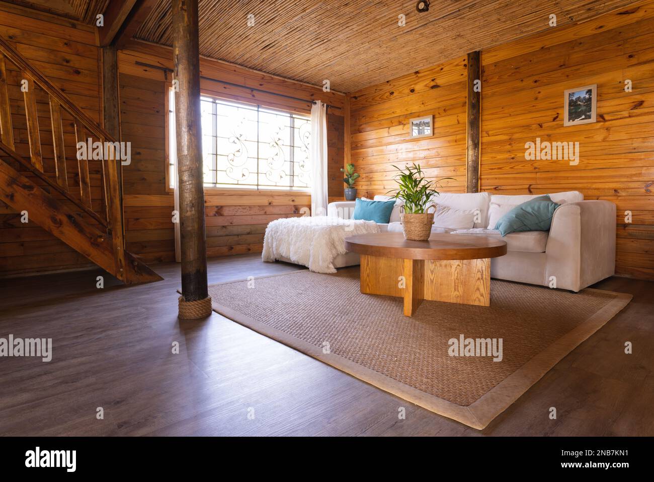 Chambre confortable vide dans la cabine en bois avec canapé, plante et grande moquette. Chalet et concept de style de vie. Banque D'Images Chambre confortable vide dans la cabine en bois avec canapé, plante et grande moquette. Chalet et concept de style de vie. Banque D'Images