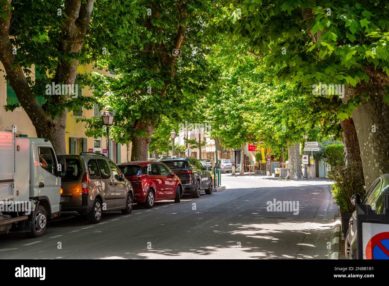 Une rue ombragée bordée d'arbres dans la vieille ville historique de Saint-Rémy-de-Provence, France. Banque D'Images