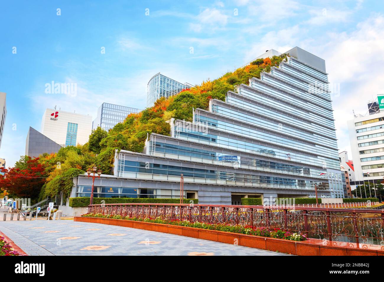 Fukuoka, Japon - novembre 21 2022 : ACROS Fukuoka est un immeuble de bureaux traditionnel avec une immense terrasse d'un parc. Le jardin atteint 60 mètres au-dessus du g Banque D'Images