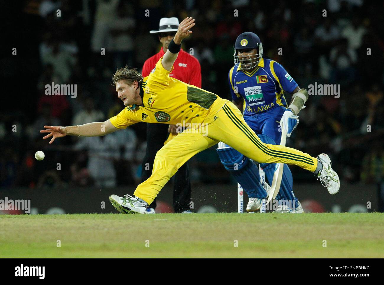 Australia's bowler Shane Watson tries to field a ball as Sri Lanka batsman Mahela Jayawardene follows play during the fifth one-day international cricket match between Sri Lanka and Australia in Colombo, Sri Lanka, Monday, Aug. 22, 2011.(AP Photo/ Eranga Jayawardena) Banque D'Images