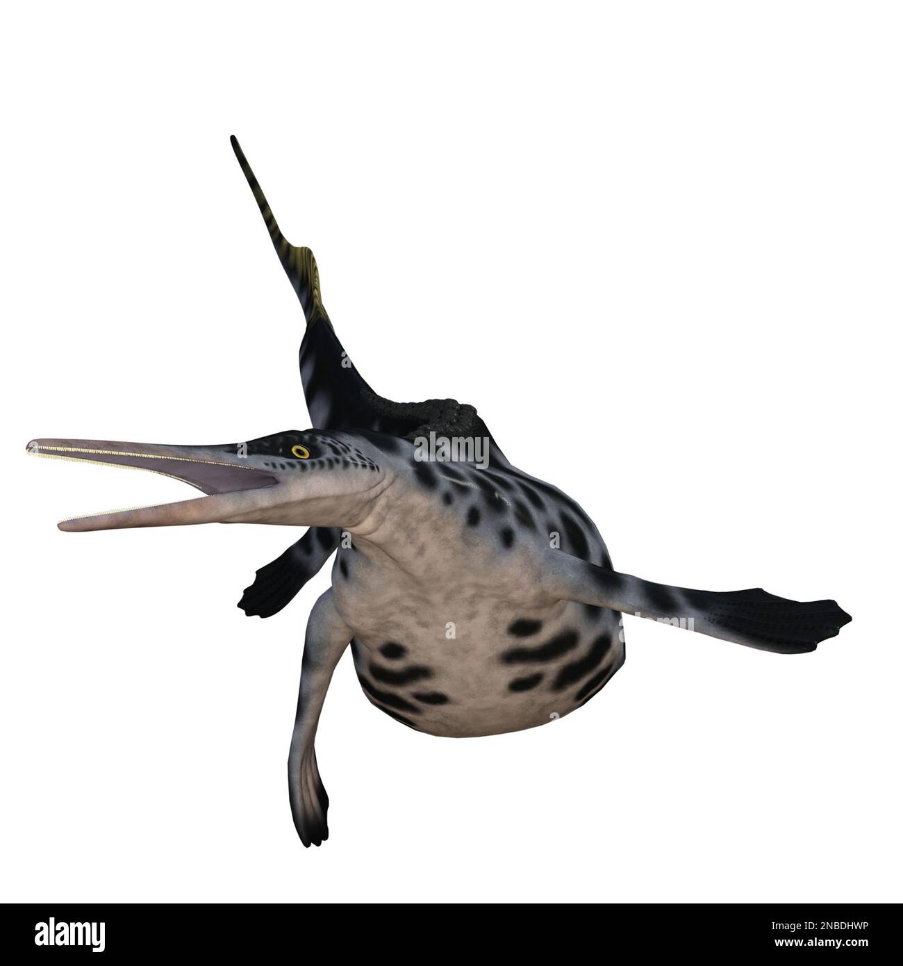 Hupehsuchus dinosaure isolé 3D rendu Banque D'Images