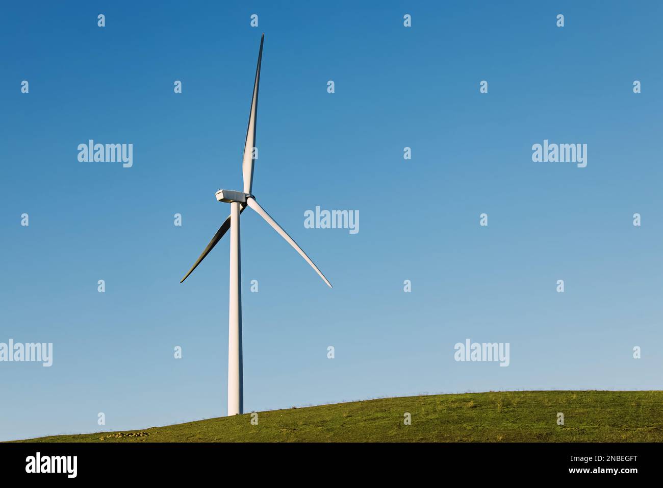 Éolienne sur la colline verte au-dessus du ciel bleu. Énergie durable Banque D'Images