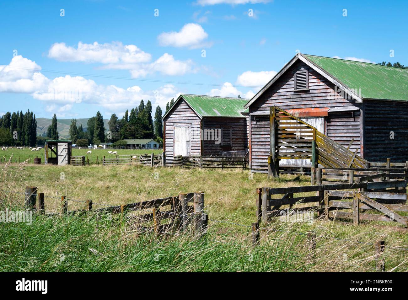 Woolshed, ou Sharing shed, Central Hawkes Bay, Île du Nord, Nouvelle-Zélande Banque D'Images