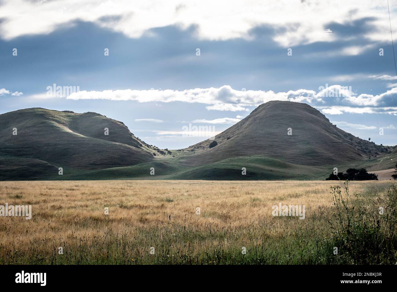 Collines abruptes derrière les terres agricoles, Takapau, Central Hawkes Bay, North Island, Nouvelle-Zélande Banque D'Images