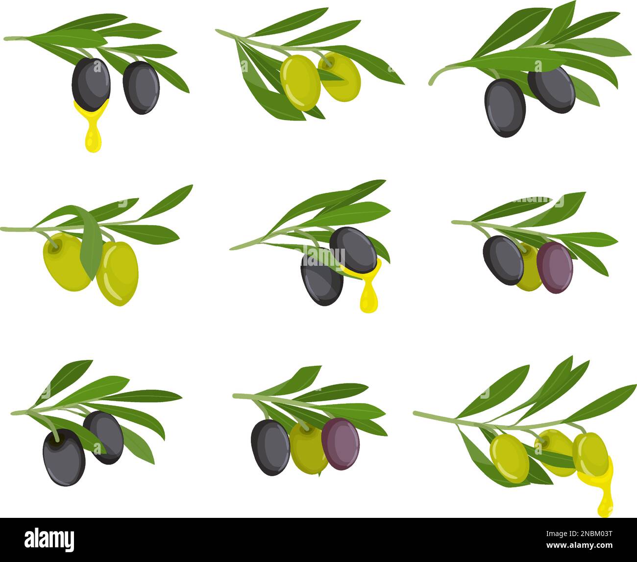 L'icône plate des olives fixe les olives noires et vertes sur les branches et l'huile sur leur illustration vectorielle Illustration de Vecteur