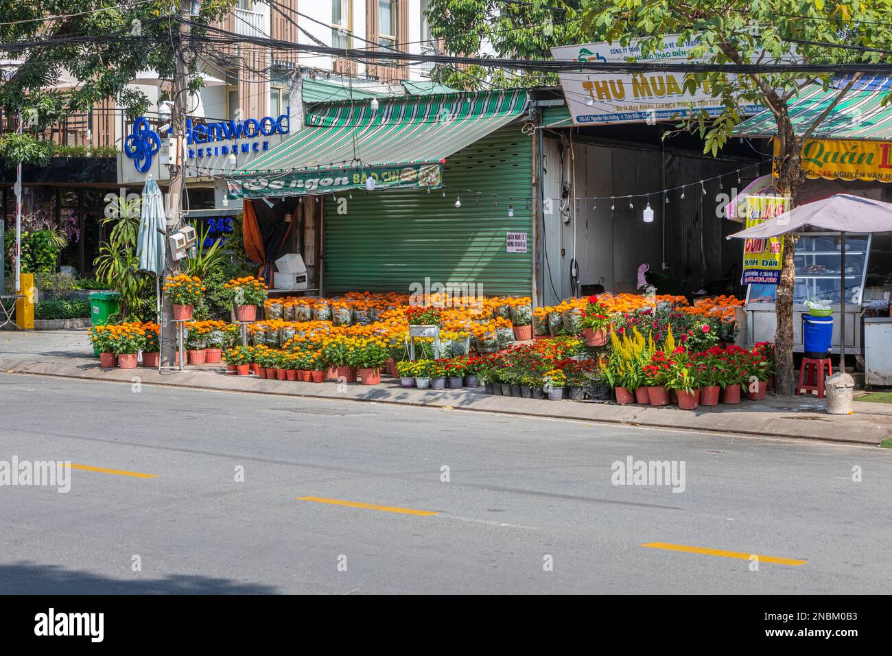 Une boutique de fleuristes en bord de route à Ho Chi Minh ville, Vietnam, pendant Tet Banque D'Images