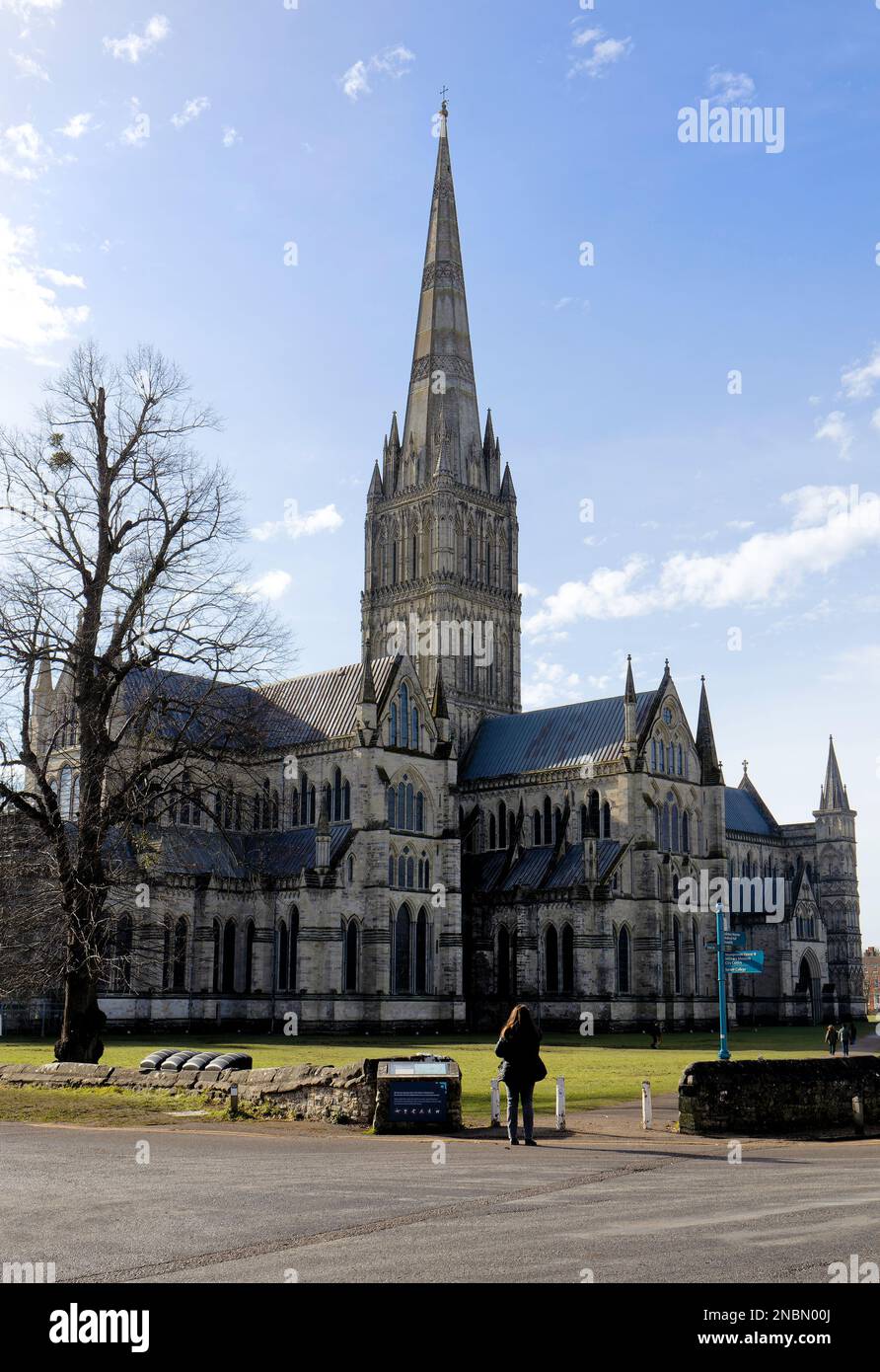 La cathédrale de Salisbury Banque D'Images