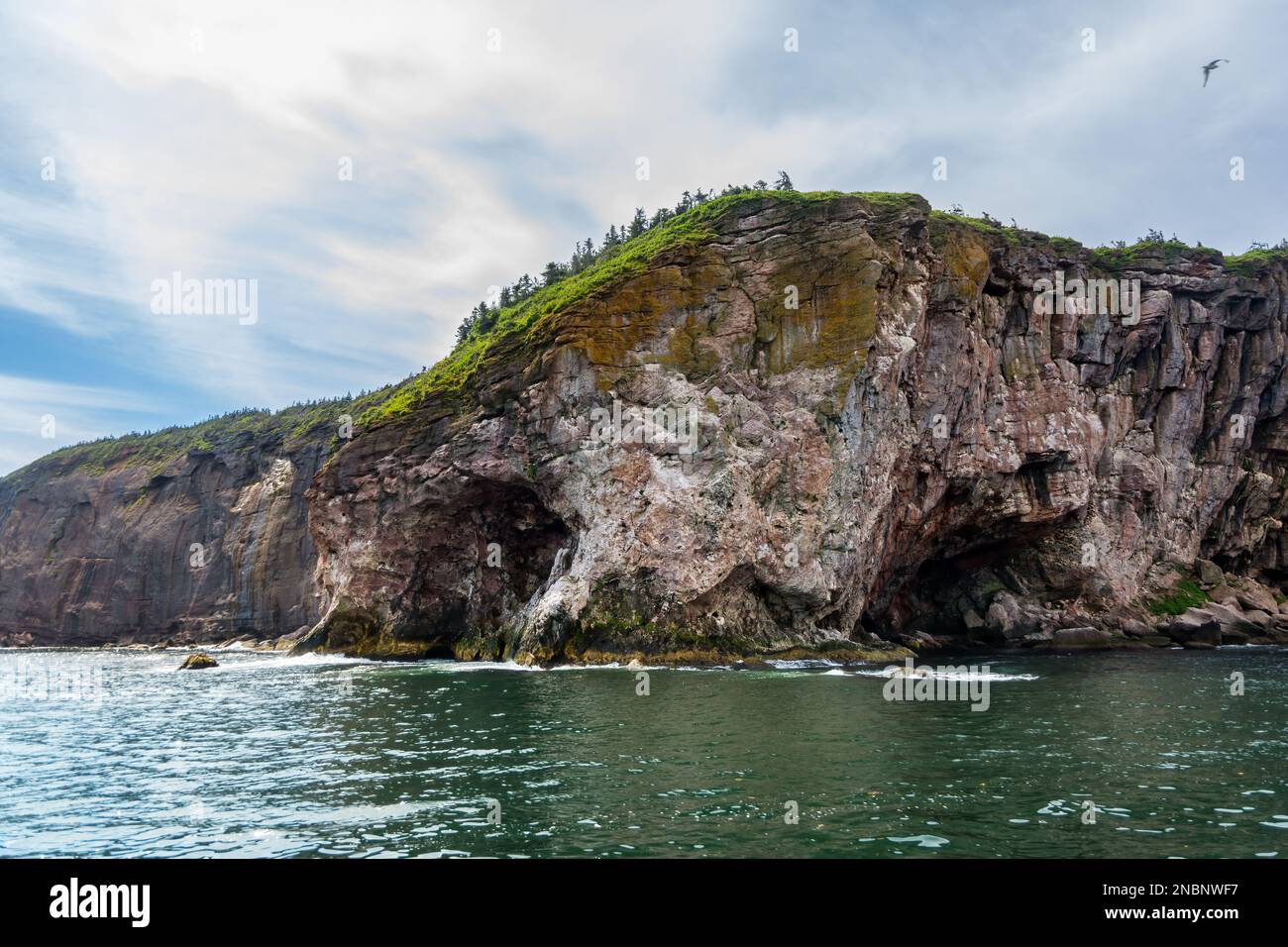 Vue sur l'île Bonaventure, une île protégée dans le golfe du Saint