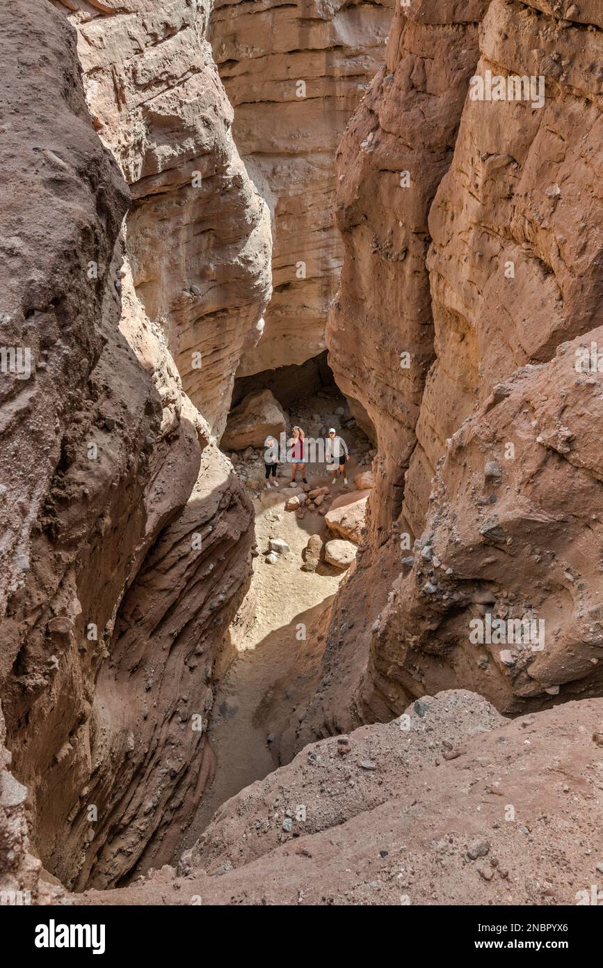 Femmes randonneurs dans Ladder Canyon, gorge de canyon au large de Painted Canyon, vue du dessus de l'échelle, la région sauvage de la Mecque Hills, Colorado Desert, Californie, États-Unis Banque D'Images