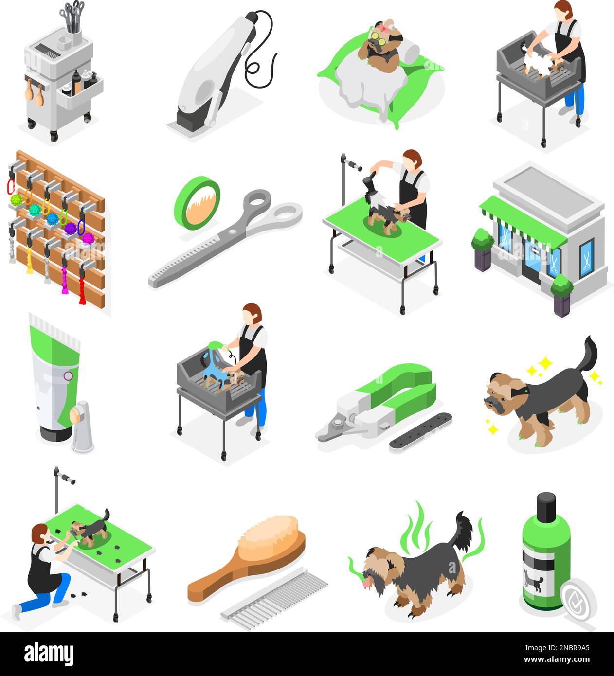 Salon de toilettage ensemble isométrique d'icônes isolées avec des outils pour laver la taille en prenant soin des animaux illustration vectorielle Illustration de Vecteur