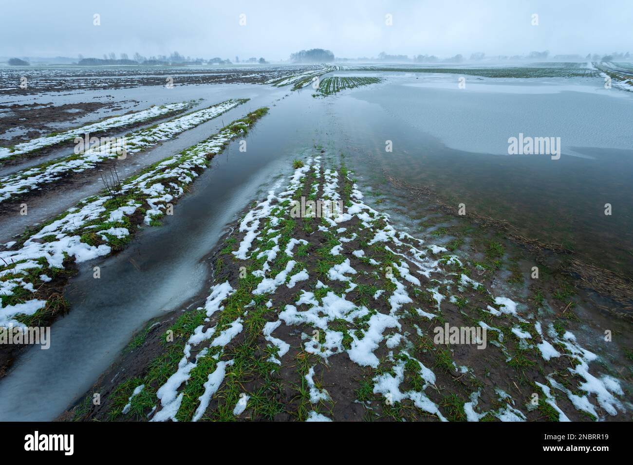 Champs inondés et route de terre après la fonte de la neige, dans l'est de la Pologne Banque D'Images