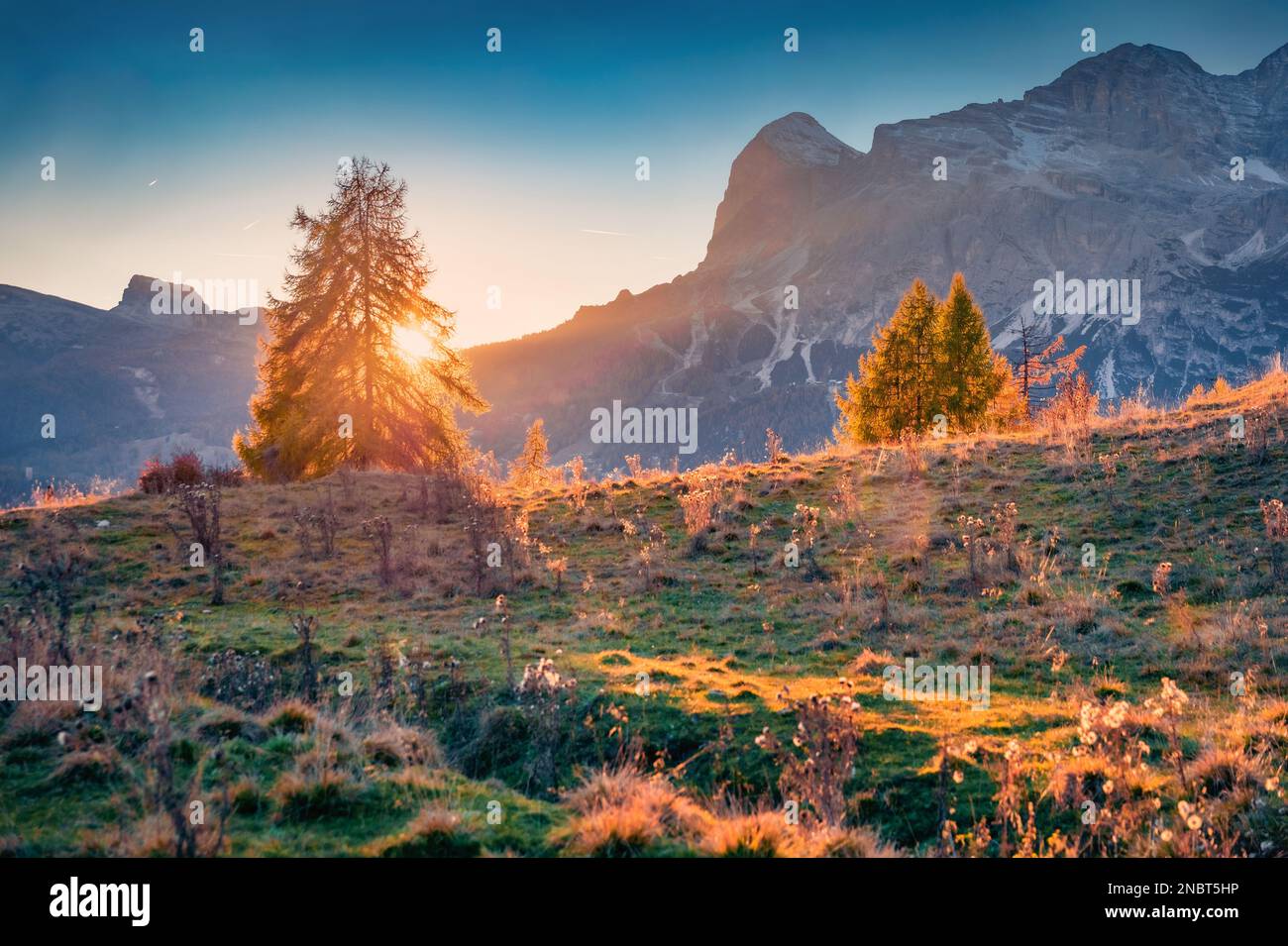 Vue en soirée colorée sur le col Tre Croci Cortina. Coucher de soleil incroyable dans les Alpes Dolomites. Incroyable scène extérieure de l'Italie, l'Europe. Concept de voyage de retour Banque D'Images