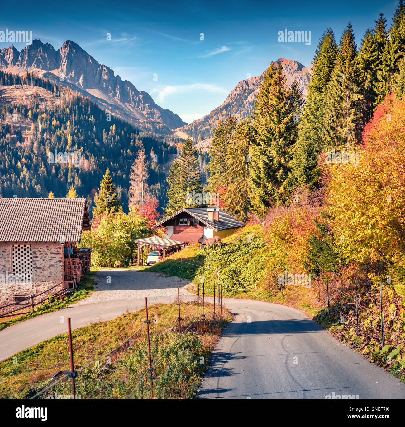 Petite ferme laitière sous les pentes de montagne de Cima Della Madonna. Splendide vue d'automne sur les Alpes Dolomites. Belle scène matinale de la campagne italienne Banque D'Images