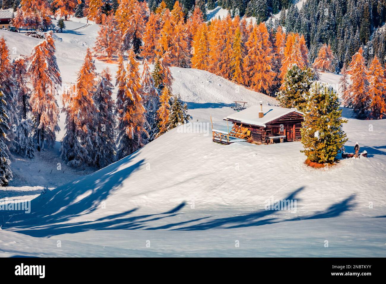 Première neige à Alpe di Siusi village.Chalet en bois parmi les trres de mélèze rouge. Magnifique vue d'hiver sur les Alpes Dolomites. Scène enneigée du matin d'Ityaly, EUR Banque D'Images