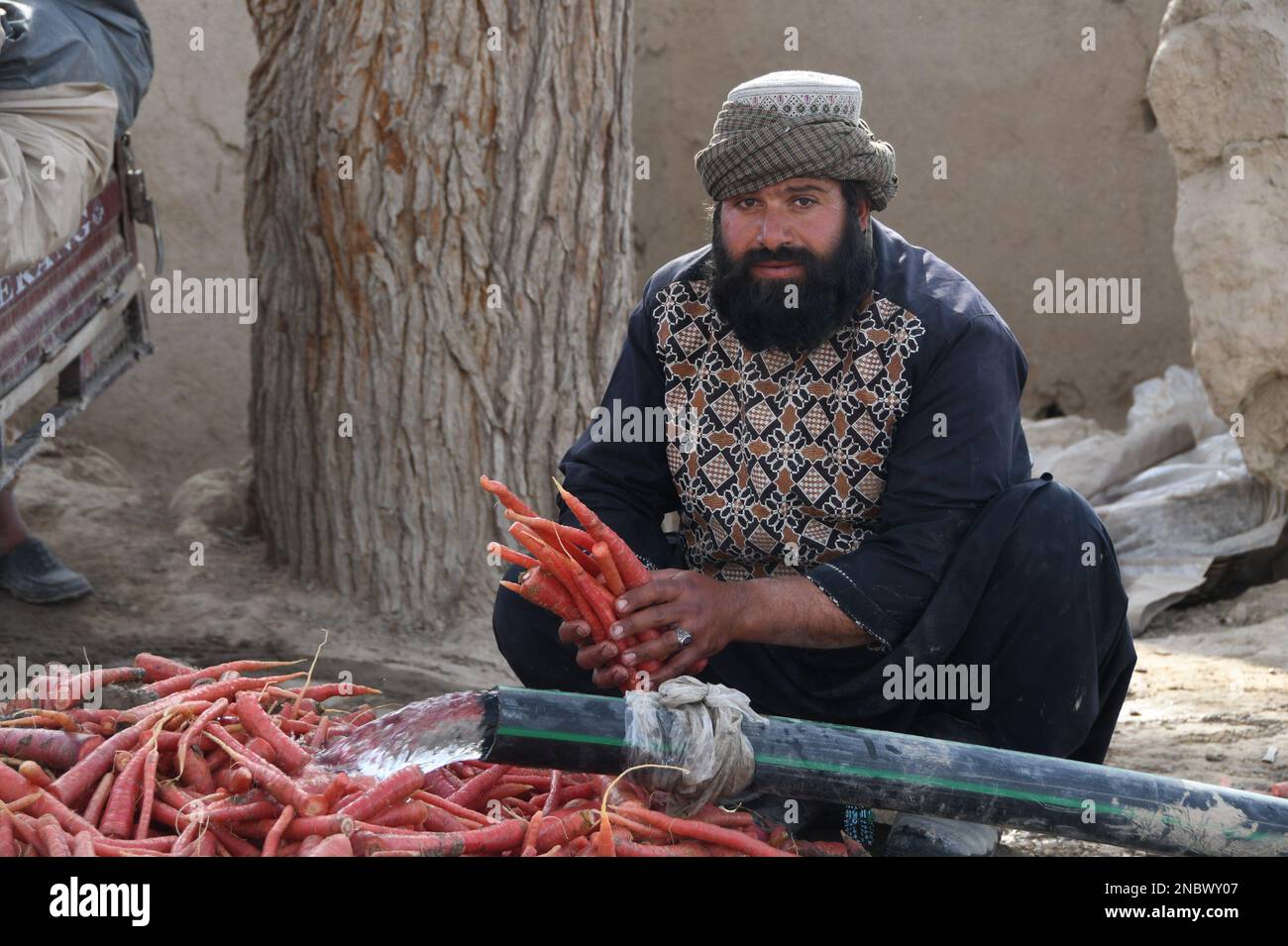 Kandahar, Afghanistan. 13th févr. 2023. Un agriculteur lave les carottes nouvellement récoltées dans la province de Kandahar, en Afghanistan, le 13 février 2023. Credit: Arghand/Xinhua/Alamy Live News Banque D'Images