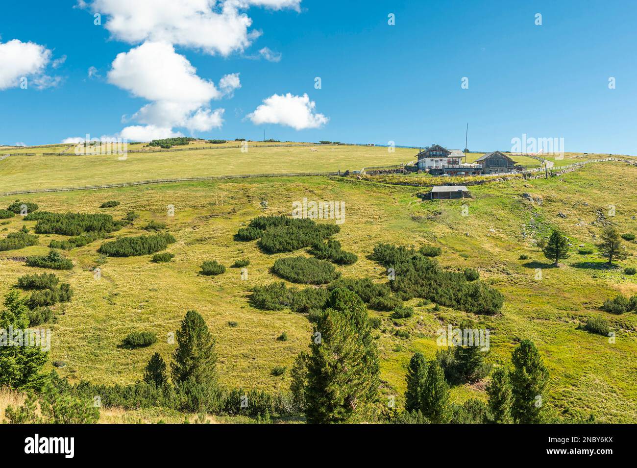 cabane de montagne naine en pin et en bois, villanders, italie Banque D'Images