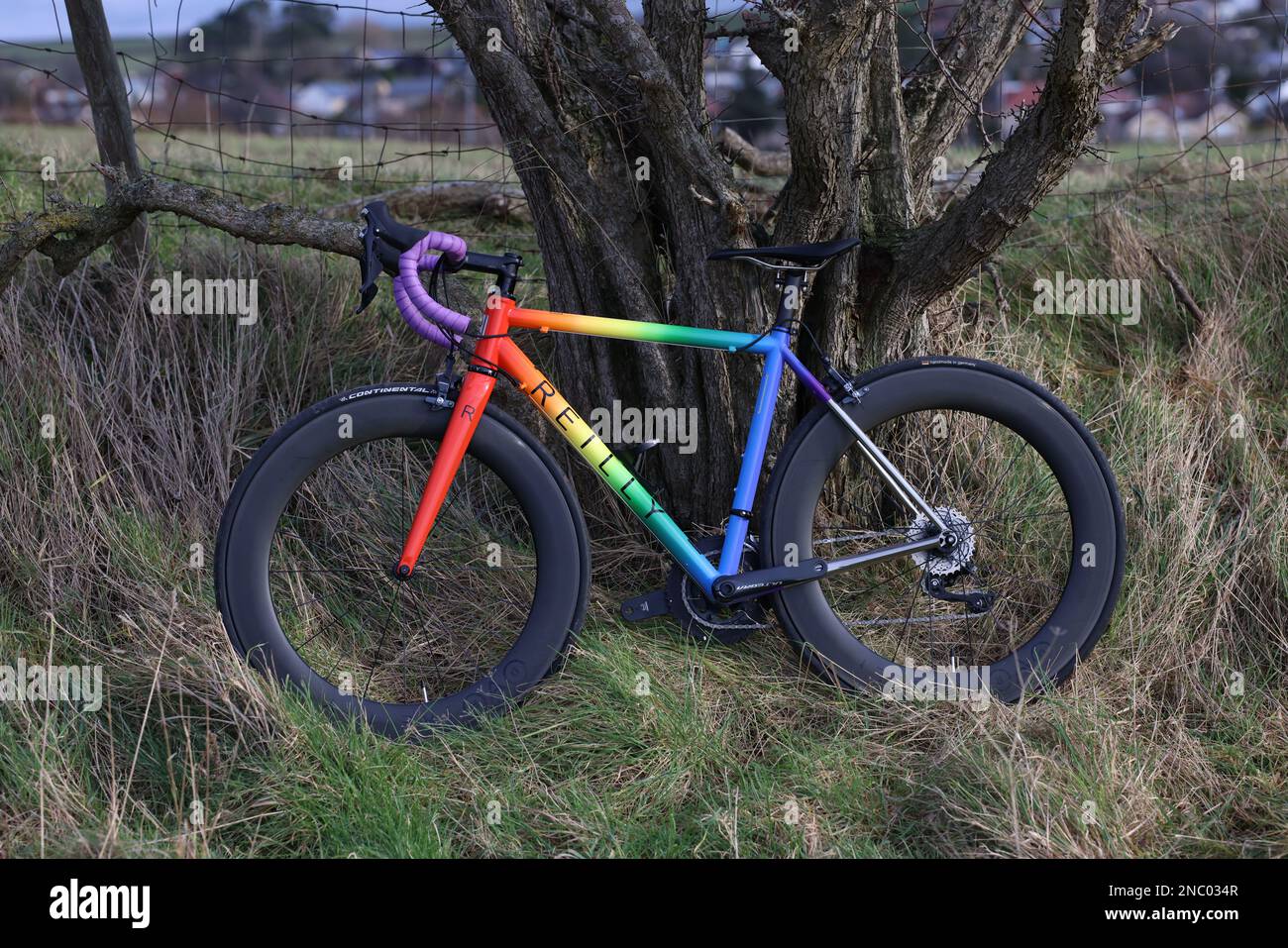 Reilly Road Warrior Banque D'Images