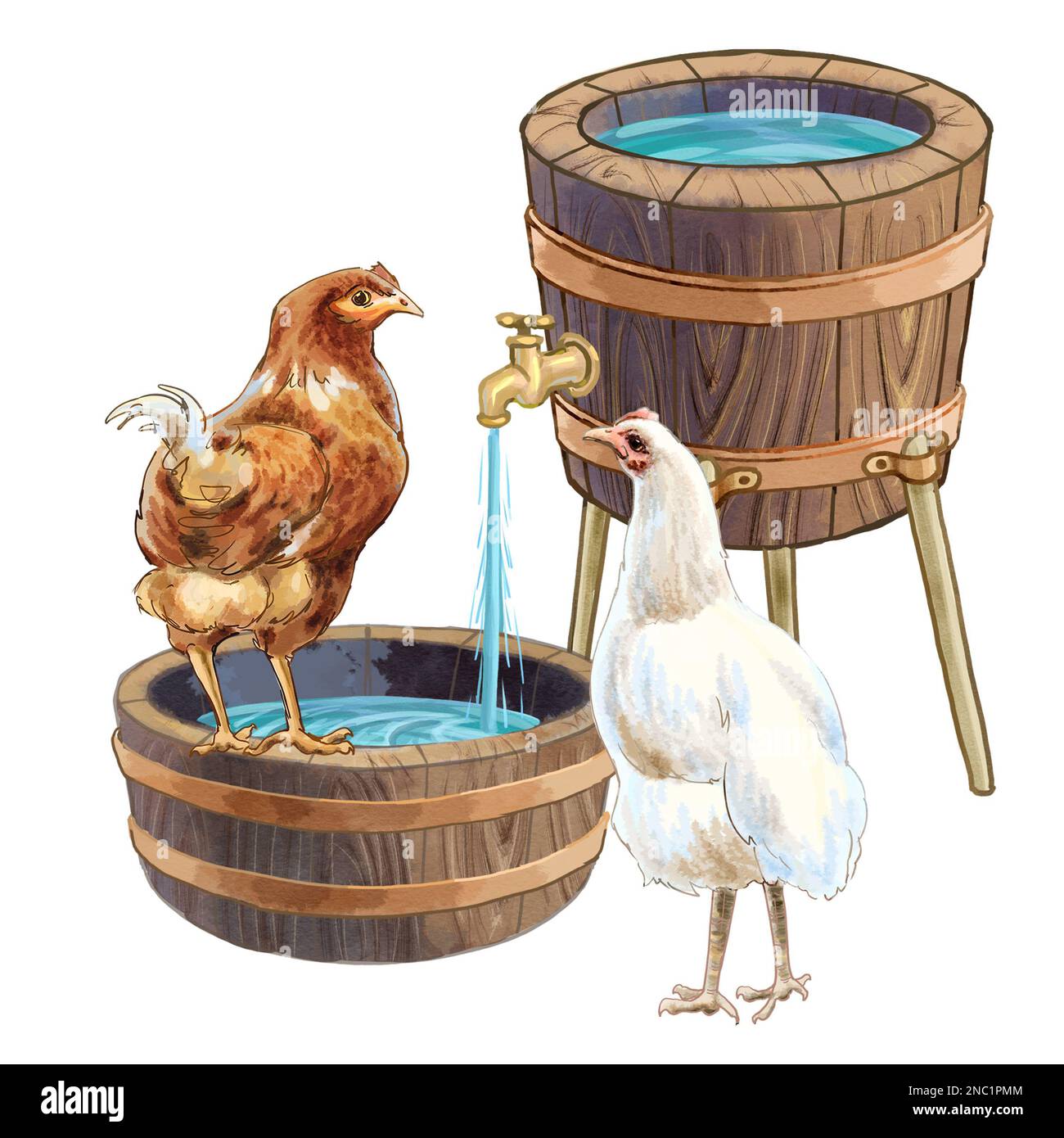 Dessin de poulets dans une cour ou une ferme de volaille. Illustration de haute qualité Banque D'Images