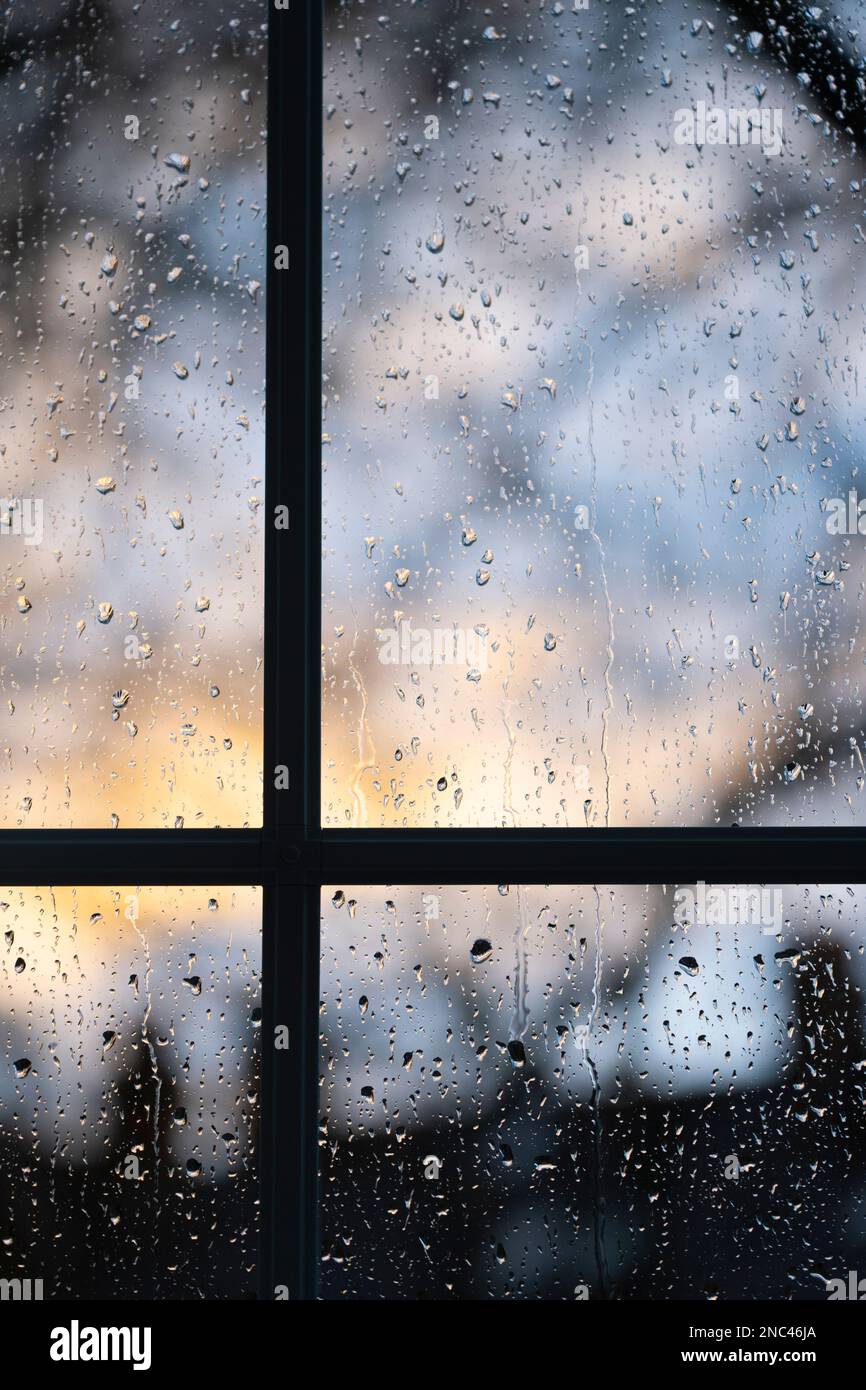 Vue à travers une fenêtre sur les raindrops avec un ciel d'hiver au crépuscule et hors des arbres de foyer derrière. Concept: Temps humide, ciel d'hiver, GMT, blues hivernal Banque D'Images