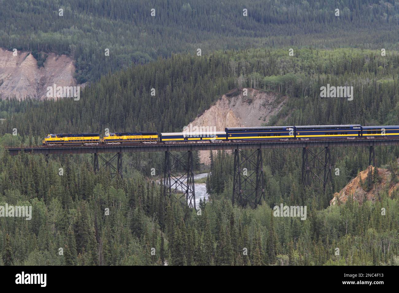 Le train de chemin de fer de l'Alaska passe le pont au parc national Denali Banque D'Images