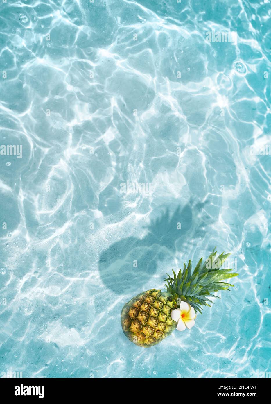 Ananas jaune et fleur blanche sur fond bleu. Concept exotique. Banque D'Images