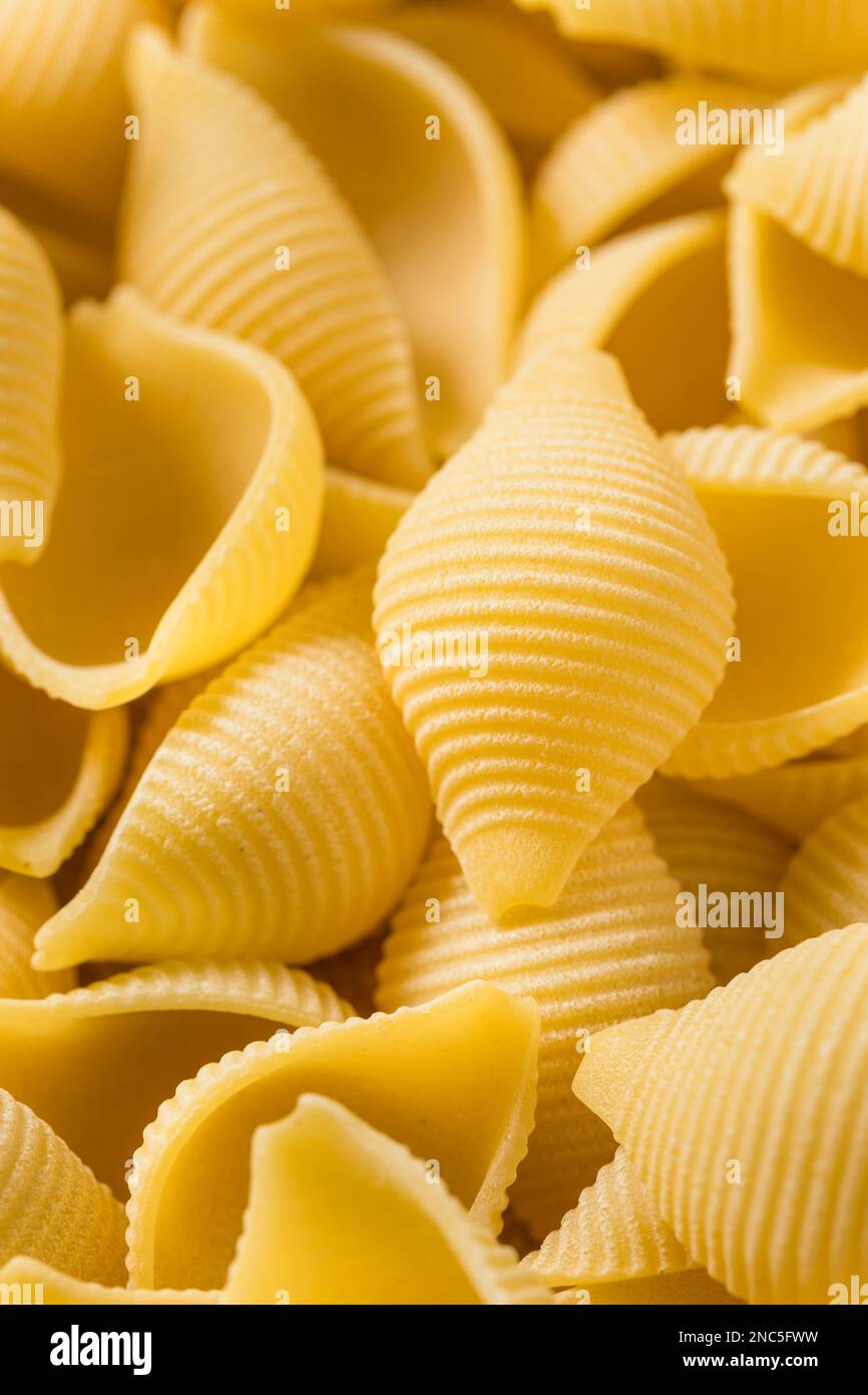 Pâtes Conchiglie crues maison et sèches prêtes à cuire Banque D'Images