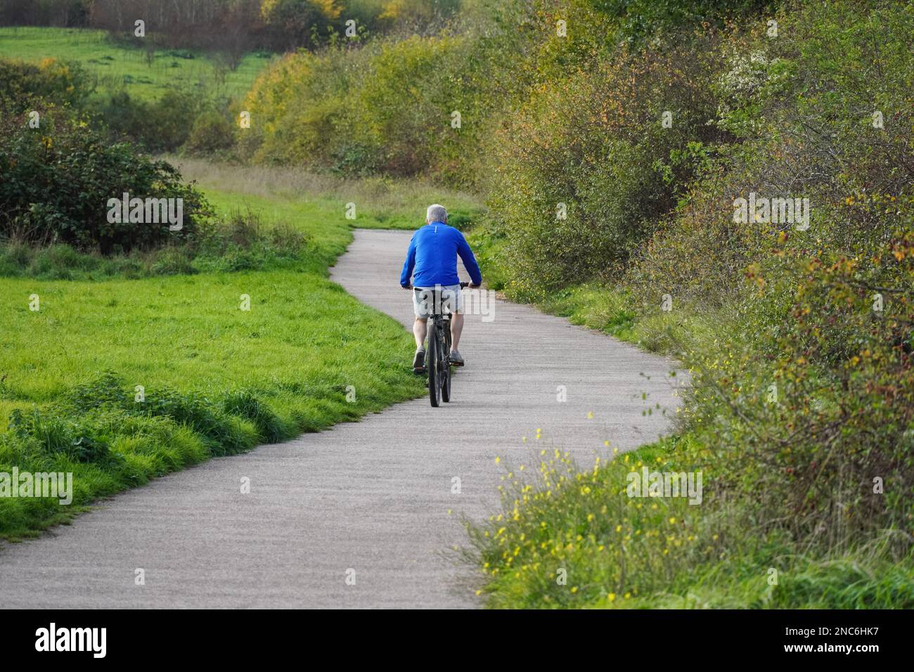 Cycliste âgé sur un chemin dans le parc d'automne, Essex Angleterre Royaume-Uni Banque D'Images