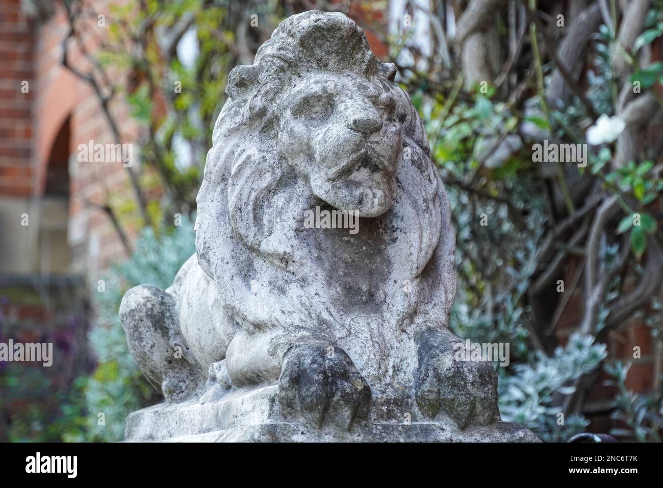 Sculpture d'un lion devant une maison, Londres Angleterre Royaume-Uni Banque D'Images