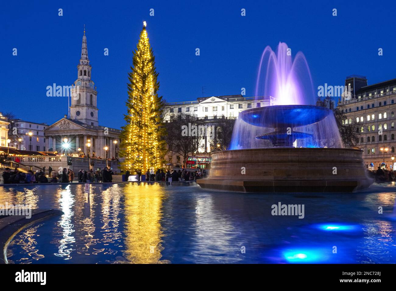 Arbre de Noël à Trafalgar Square, Londres Angleterre Royaume-Uni UK Banque D'Images