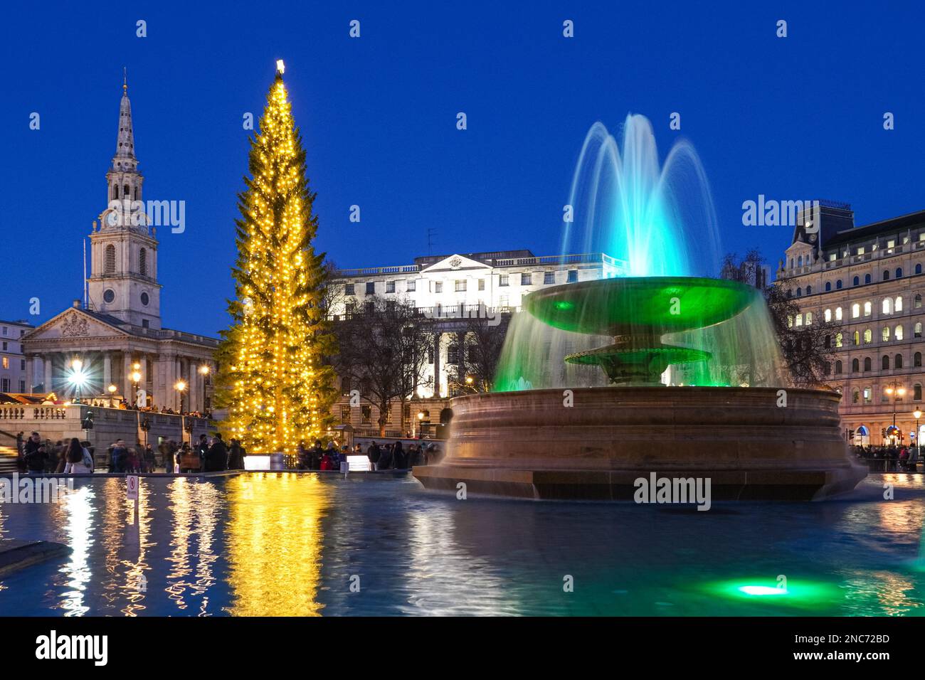 Arbre de Noël à Trafalgar Square, Londres Angleterre Royaume-Uni UK Banque D'Images