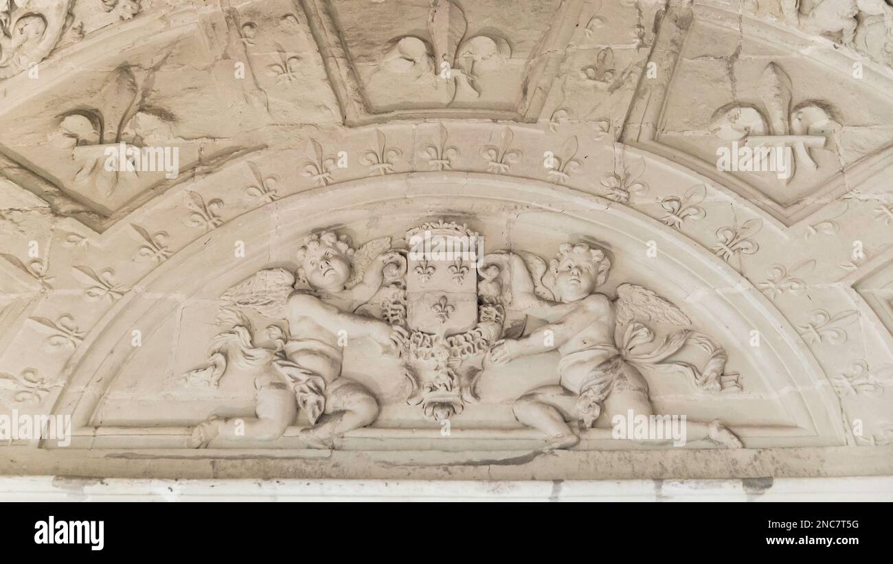 Chambord, France - 30 2022 décembre : relief de l'emblème royal français au château de Chambord Banque D'Images