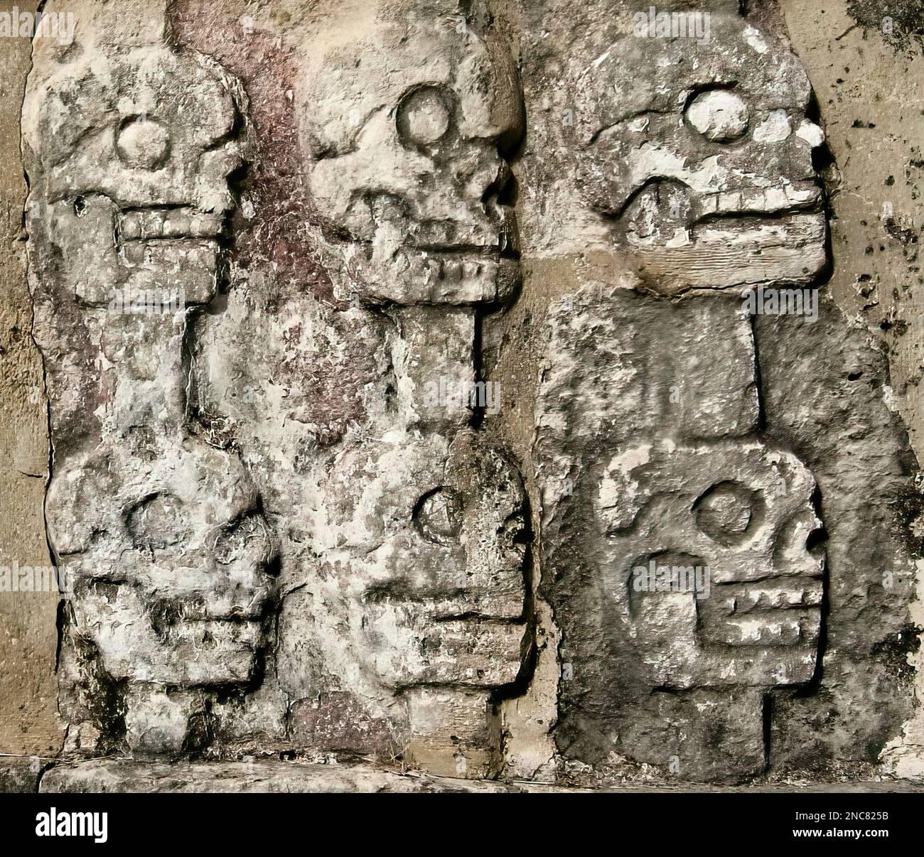 L'impressionnant mur de crânes (les Tzompantli) dans l'ancienne ville maya de Chichen Itza au Mexique. Banque D'Images