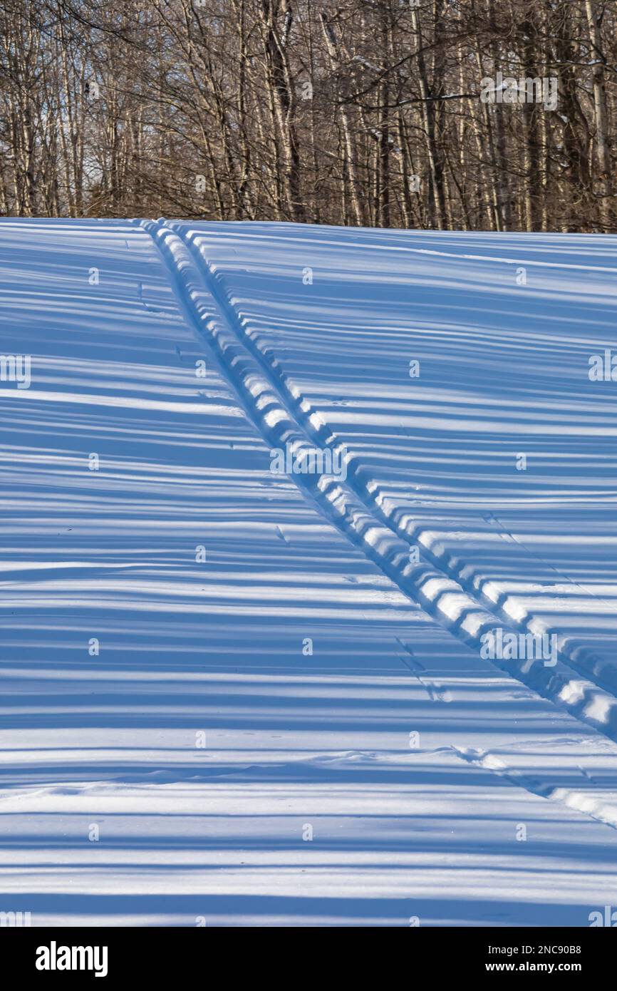 Pistes de ski de fond descendant une colline sur un parcours de golf dans le centre du Michigan, aux États-Unis Banque D'Images