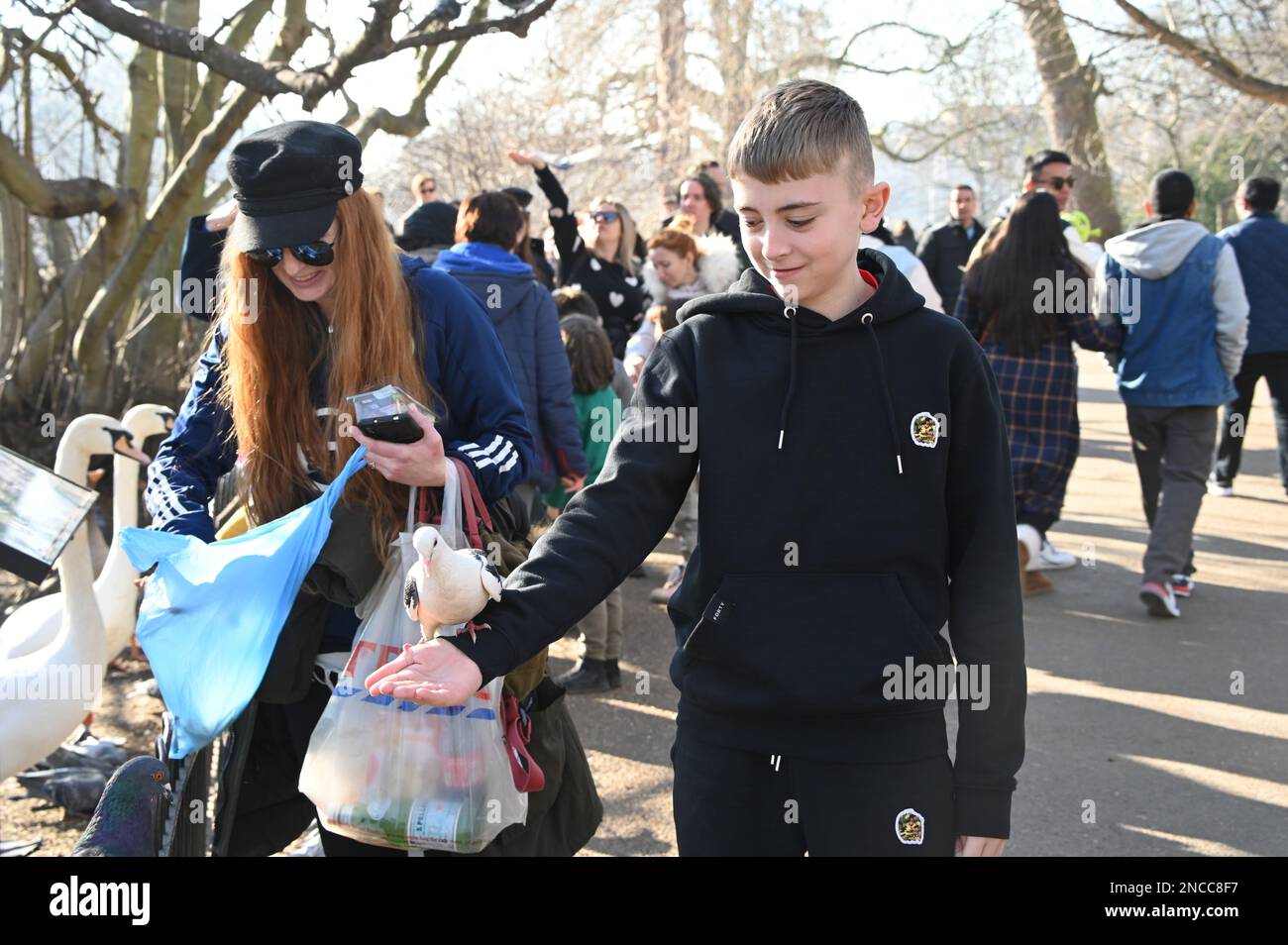 2023-02-14 Météo au Royaume-Uni: Personnes nourrissant le pigeon lors d'une chaude journée d'hiver à St James Park, Londres, Royaume-Uni. Banque D'Images