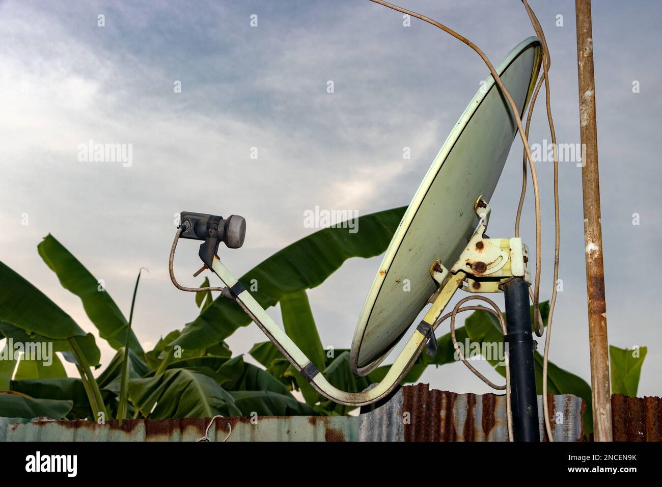 Plat satellite sur une clôture avec des arbres tropicaux sur un fond Banque D'Images