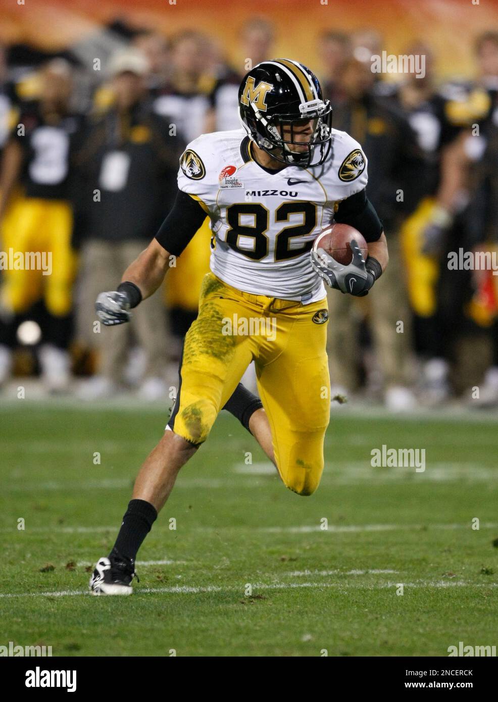 Missouri Tigers tight end Michael Egnew against the Iowa Hawkeyes in the first quarter during the Insight Bowl NCAA football game on Tuesday, Dec. 29, 2010, in Tempe. (Rick Scuteri/AP Images) Banque D'Images